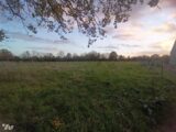 Maison à construire à Saint-Philbert-des-Champs (14130) 2195492-11215annonce120250617xsK9u.jpeg Les Maisons Extraco