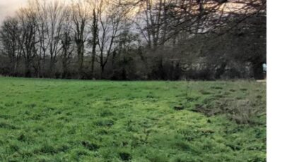 La Haye-Saint-Sylvestre Maison neuve - 2198566-4101annonce120250619vkx44.jpeg Les Maisons Extraco