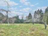 Maison à construire à Blangy-le-Château (14130) 2201135-11215annonce120250617wFT7h.jpeg Les Maisons Extraco