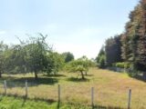 Maison à construire à Saint-Martin-aux-Chartrains (14130) 2201092-11215annonce120250617gGySk.jpeg Les Maisons Extraco