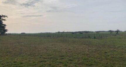 Jumelles Maison neuve - 2206451-11218annonce1202506263PK4T.jpeg Les Maisons Extraco