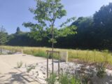 Maison à construire à Honfleur (14600) 2207936-11216annonce120250627OKls8.jpeg Les Maisons Extraco
