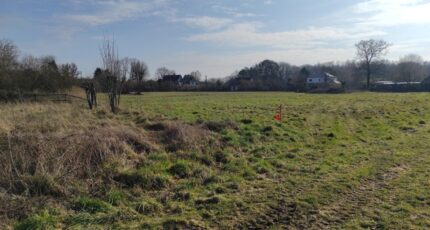 Auberville Maison neuve - 2208466-11216annonce120250629UKuou.jpeg Les Maisons Extraco