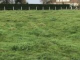 Terrain à bâtir à Glos-sur-Risle (27290) 2208190-4101annonce120250628nsapv.jpeg Les Maisons Extraco