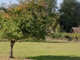 Maison à construire à Bois-Guillaume (76230) 2211830-11182annonce1202507028ELSc.jpeg Les Maisons Extraco