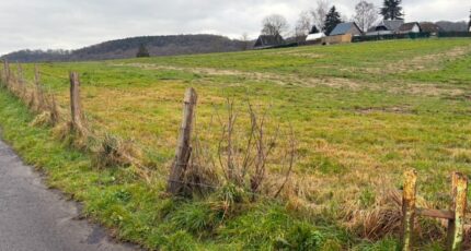 Lillebonne Maison neuve - 2212121-11217annonce220250702wZo7D.jpeg Les Maisons Extraco