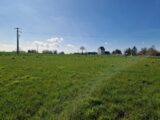 Maison à construire à Beuzeville-la-Grenier (76210) 2213034-11180annonce120250703fiuhL.jpeg Les Maisons Extraco