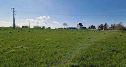 Beuzeville-la-Grenier Maison neuve - 2213034-11180annonce120250703fiuhL.jpeg Les Maisons Extraco