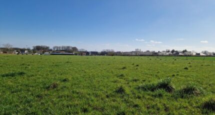Beuzeville-la-Grenier Maison neuve - 2212976-11180annonce1202507031VwrV.jpeg Les Maisons Extraco