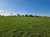 Maison à construire à Beuzeville-la-Grenier (76210) 2213001-11180annonce120250703pJy2m.jpeg Les Maisons Extraco