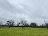 Maison à construire à Cricqueville-en-Auge (14430) 2107928-11216annonce120250315M9T2L.jpeg Les Maisons Extraco