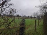 Maison à construire à Le Torquesne (14130) 2108030-11216annonce120250316lwZDK.jpeg Les Maisons Extraco