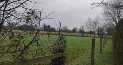 Le Torquesne Maison neuve - 2108030-11216annonce420250316Fq5m8.jpeg Les Maisons Extraco