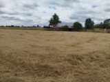 Maison à construire à Collandres-Quincarnon (27190) 2215555-11219annonce120250702tXXdz.jpeg Les Maisons Extraco