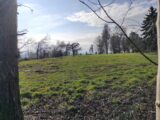 Maison à construire à Grangues (14160) 2222037-11216annonce120250711H0JDy.jpeg Les Maisons Extraco