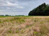 Terrain à bâtir à Condé-sur-Risle (27290) 2222795-4101annonce120250712u0pnJ.jpeg Les Maisons Extraco