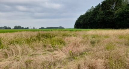 Condé-sur-Risle Terrain à bâtir - 2222795-4101annonce120250712u0pnJ.jpeg Les Maisons Extraco
