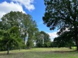 Maison à construire à La Poterie-Mathieu (27560) 2222792-4101annonce120250712M1rv9.jpeg Les Maisons Extraco