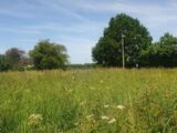 Maison à construire à Capelle-les-Grands (27270) 2227009-4101annonce12025071727XDU.jpeg Les Maisons Extraco