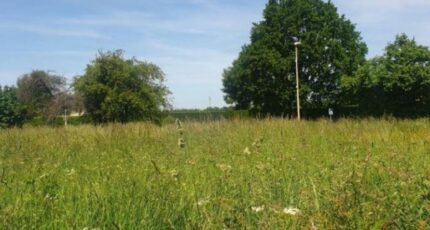 Capelle-les-Grands Maison neuve - 2227009-4101annonce12025071727XDU.jpeg Les Maisons Extraco