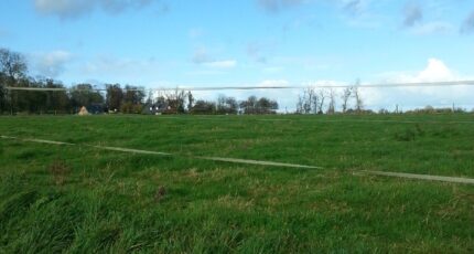 Rouxmesnil-Bouteilles Maison neuve - 2228806-4093annonce120250719iZtRz.jpeg Les Maisons Extraco
