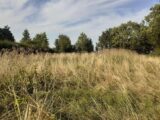 Maison à construire à Saint-Victor-sur-Avre (27130) 2229053-11218annonce120250719PrXML.jpeg Les Maisons Extraco