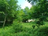 Maison à construire à Thoiry (78770) 2229069-11219annonce120250719NNddZ.jpeg Les Maisons Extraco