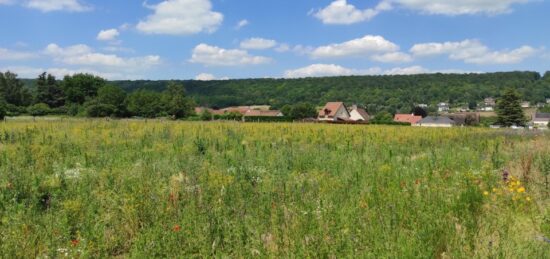 Terrain à bâtir à Mézy-sur-Seine, Île-de-France