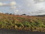 Maison à construire à Le Mesnil-Guillaume (14100) 2229509-11216annonce120250720FOivo.jpeg Les Maisons Extraco