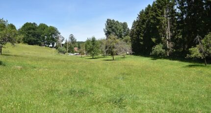 Sainte-Croix-sur-Buchy Maison neuve - 2229650-9966annonce120250720T85a0.jpeg Les Maisons Extraco