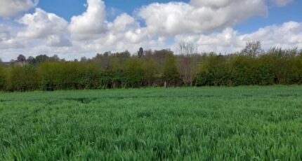 Saint-Denis-sur-Scie Maison neuve - 2230896-4093annonce120250722uCcl9.jpeg Les Maisons Extraco