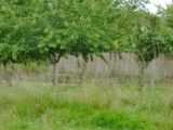 Maison à construire à Vieux-Villez (27600) 2234909-5689annonce120250727qtQTS.jpeg Les Maisons Extraco