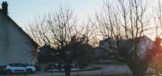 Terrain à bâtir à La Villeneuve-en-Chevrie, Île-de-France