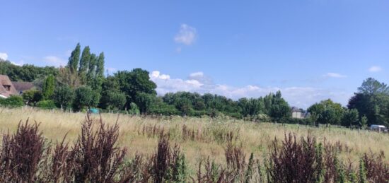 Terrain à bâtir à , Calvados