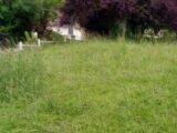 Maison à construire à Saint-Pierre-sur-Dives (14170) 2238465-11216annonce120250731Ndv2P.jpeg Les Maisons Extraco