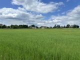 Maison à construire à Le Vieil-Évreux (27930) 2239729-11218annonce1202508035aPmg.jpeg Les Maisons Extraco