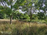 Maison à construire à Campigny (27500) 2242575-4101annonce120250807hzBGb.jpeg Les Maisons Extraco