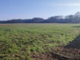 Maison à construire à Émalleville (27930) 2243608-11218annonce120250809hWQnl.jpeg Les Maisons Extraco