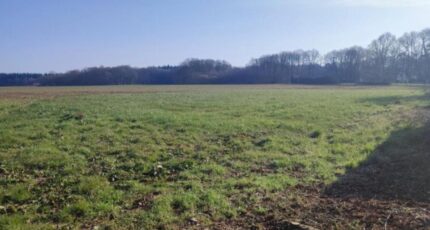 Émalleville Maison neuve - 2243608-11218annonce120250809hWQnl.jpeg Les Maisons Extraco