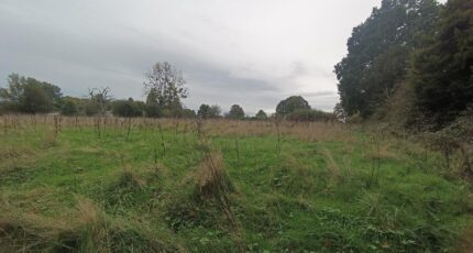 Formentin Maison neuve - 2243705-11215annonce120250807KHTm0.jpeg Les Maisons Extraco