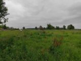 Terrain à bâtir à Fierville-les-Parcs (14130) 2248480-11216annonce420250821IuLlb.jpeg Les Maisons Extraco
