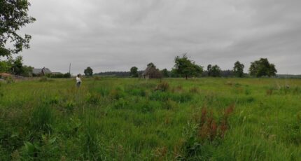 Fierville-les-Parcs Maison neuve - 2249107-11216annonce420250821IuLlb.jpeg Les Maisons Extraco