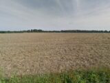 Terrain à bâtir à Les Bréviaires (78610) 2247192-11219annonce120250820cpxy1.jpeg Les Maisons Extraco