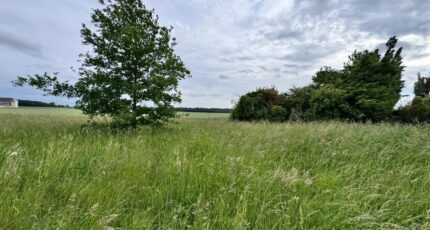 Mouettes Maison neuve - 2254174-9696annonce120250829MRc4g.jpeg Les Maisons Extraco