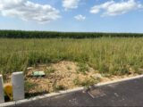 Maison à construire à Allouville-Bellefosse (76190) 2254142-11217annonce120250829IKlBT.jpeg Les Maisons Extraco