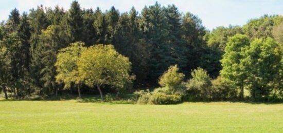 Terrain à bâtir à Le Faulq, Normandie
