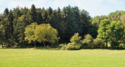 Le Faulq Maison neuve - 2254878-11216annonce120250829nl7f1.jpeg Les Maisons Extraco