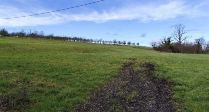 Cambremer Maison neuve - 2255004-11216annonce120250829pI8iE.jpeg Les Maisons Extraco