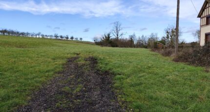 Cambremer Maison neuve - 2255011-11216annonce120250829AoJ6I.jpeg Les Maisons Extraco