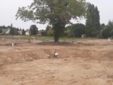 Maison à construire à Igoville (27460) 2257133-6236annonce220250902exxDf.jpeg Les Maisons Extraco